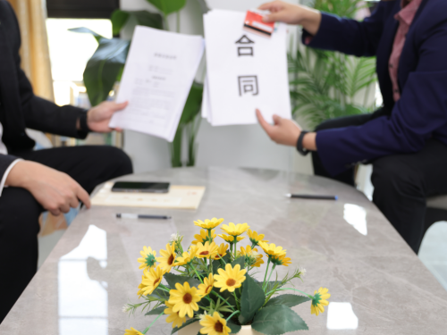 1769480634831843.jpg 8.jpg