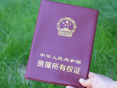 1770017669650034.jpg 6.jpg